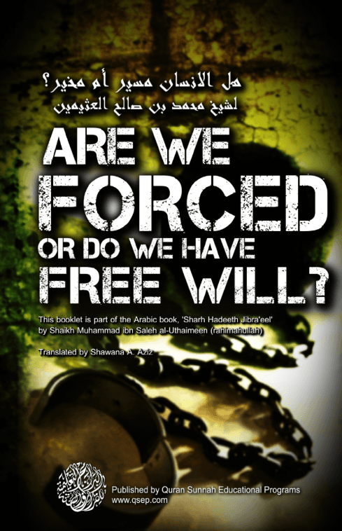 Are We Forced or Do We Have Free Will ?
